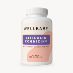 Wellbabe Cholin Citicolin Cognizin CDP vegane Kapseln